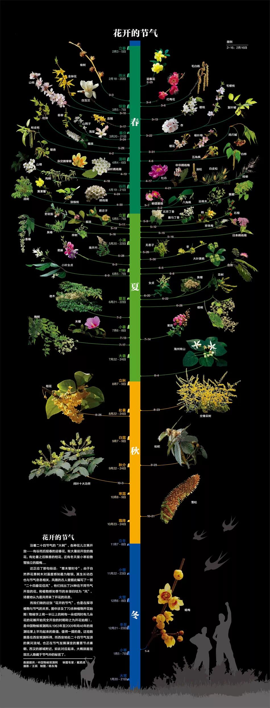各種花開的節(jié)氣 各種花開的節(jié)氣